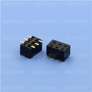 GP25-2021WVS-2xNP